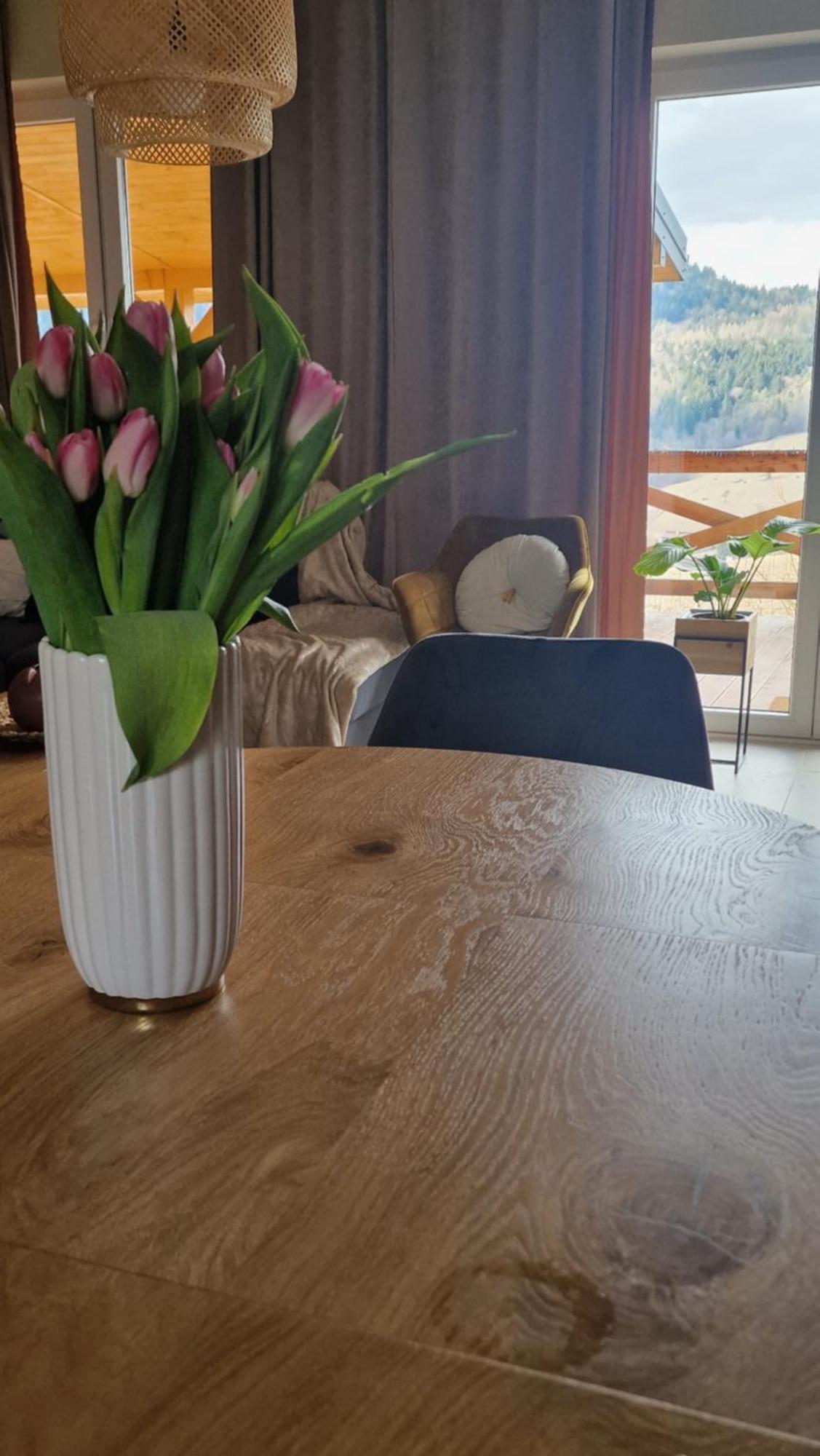 Niedzwiadka Beskid Niski Holiday home