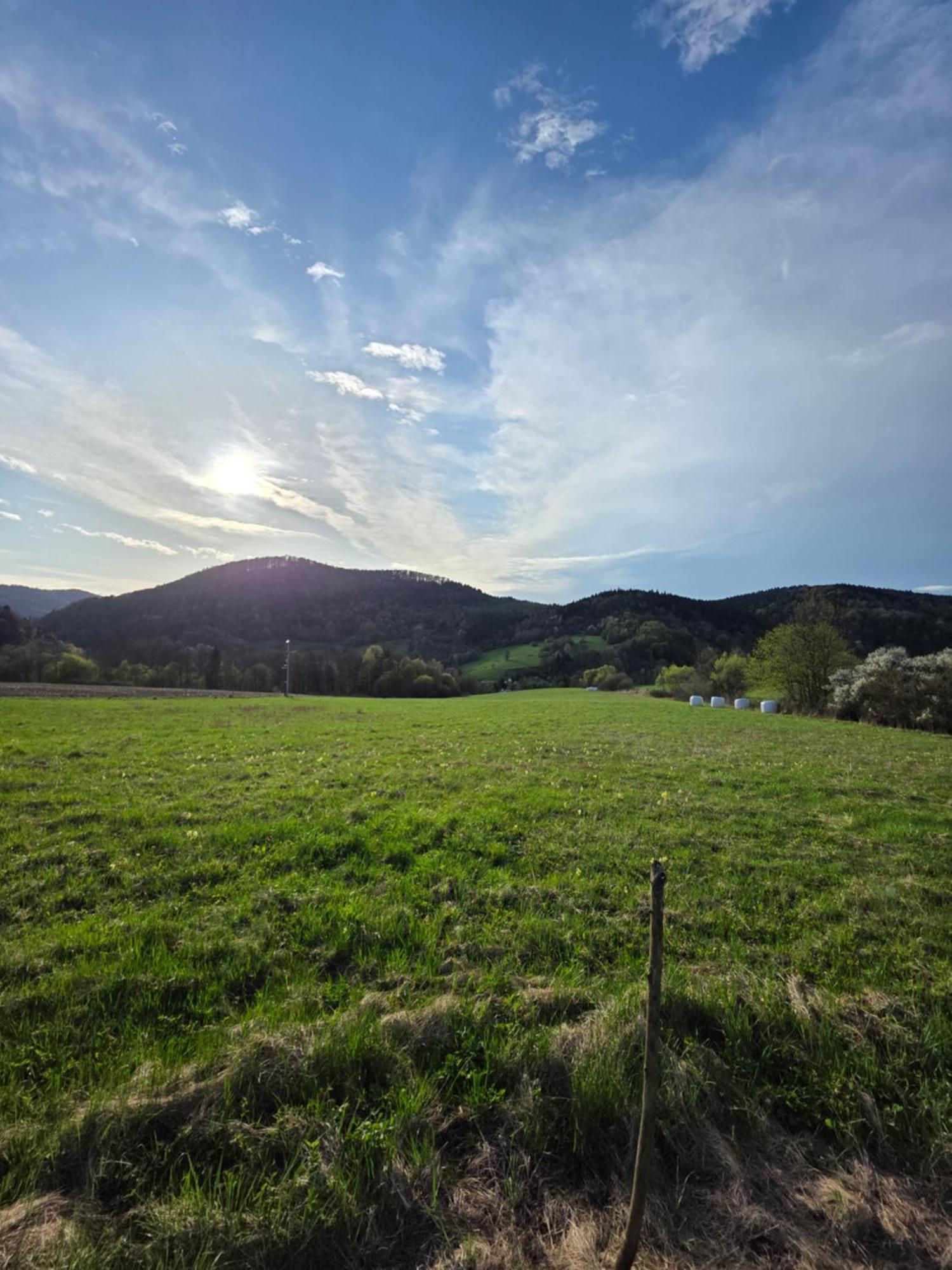 Niedzwiadka Beskid Niski Holiday home *